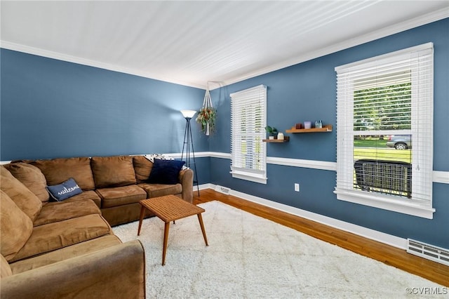 12912 Cottage Mill Pl, Midlothian, VA 23114 - living area featuring wood finished floors, plenty of natural light, crown molding, and baseboards