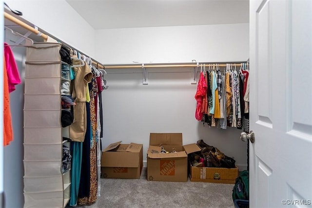 203 Pointers Dr, West Point, VA 23181 - spacious closet with carpet floors