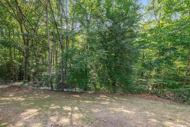 4200 Esposito Pl, Prince George, VA 23875 - view of yard featuring a forest view
