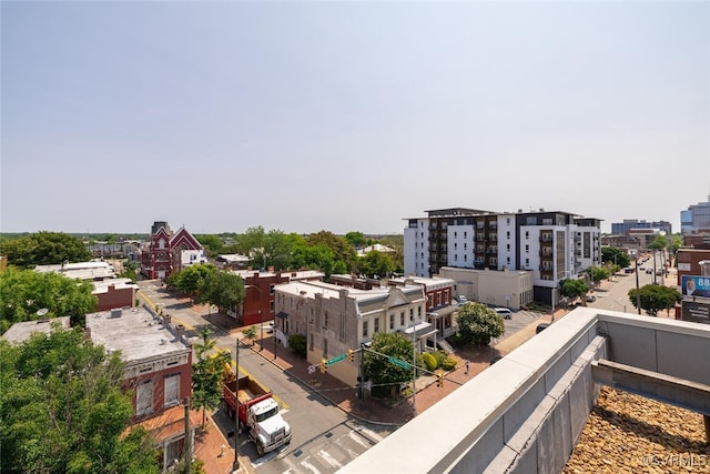 101 W Marshall St Unit U47, Richmond, VA 23220 - view of city