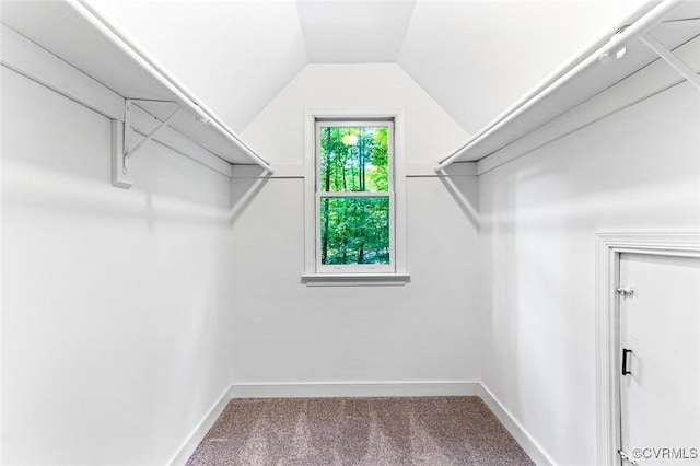 4381 Three Bridge Rd, Powhatan, VA 23139 - spacious closet with carpet and lofted ceiling