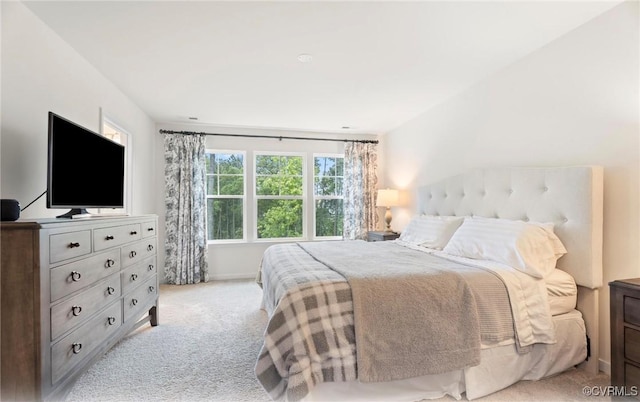 18304 Palisades Ct, Moseley, VA 23120 - bedroom featuring light carpet