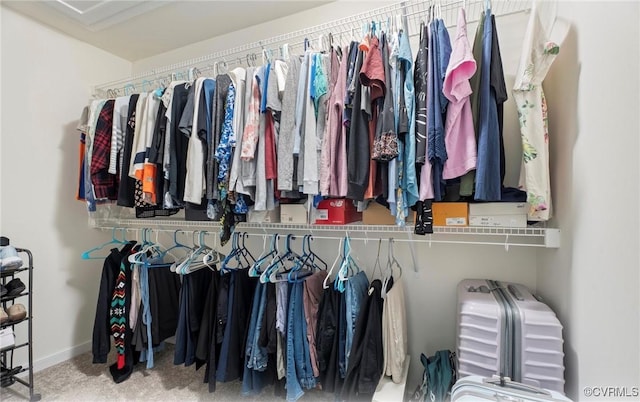 18304 Palisades Ct, Moseley, VA 23120 - walk in closet with carpet