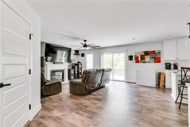 15606 Corte Castle Ter, Chesterfield, VA 23838 - living room with a glass covered fireplace, a ceiling fan, and light wood finished floors