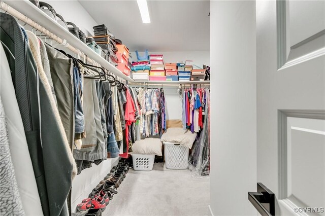 15606 Corte Castle Ter, Chesterfield, VA 23838 - spacious closet featuring carpet floors