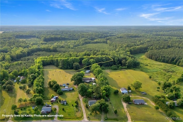 3966 Holts Ln, Saluda, VA 23149 - overview of rural landscape with a forest and property boundaries highlighted