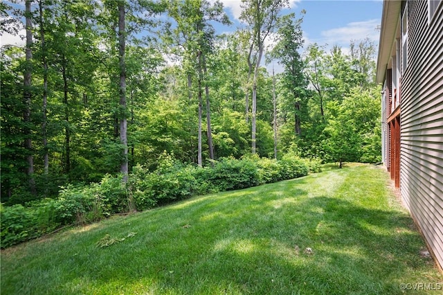 1012 Water Beech Rd, Midlothian, VA 23114 - view of grassy yard featuring a view of trees