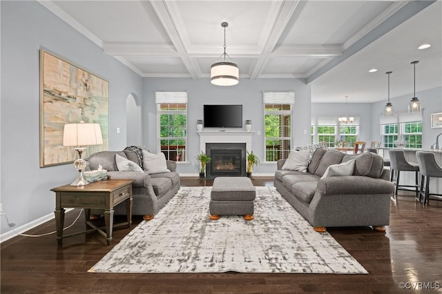 1012 Water Beech Rd, Midlothian, VA 23114 - living room with dark wood finished floors, plenty of natural light, beamed ceiling, baseboards, and a fireplace with flush hearth