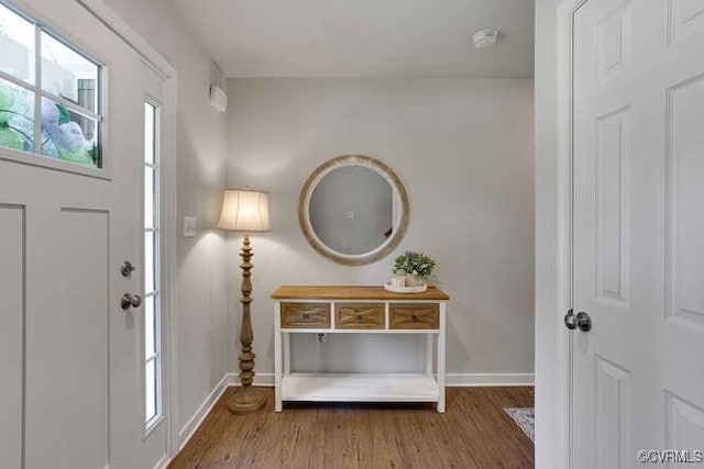 328 Peregrine Pl, Louisa, VA 23093 - foyer entrance featuring baseboards and wood finished floors