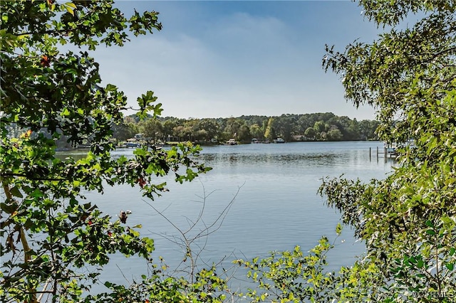 0 Ocran Rd, White Stone, VA 22578
