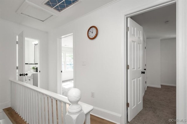 215 S S St, Petersburg, VA 23803 - corridor with baseboards