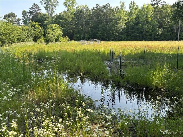 23315 King William Rd, West Point, VA 23181 - water view with a heavily wooded area