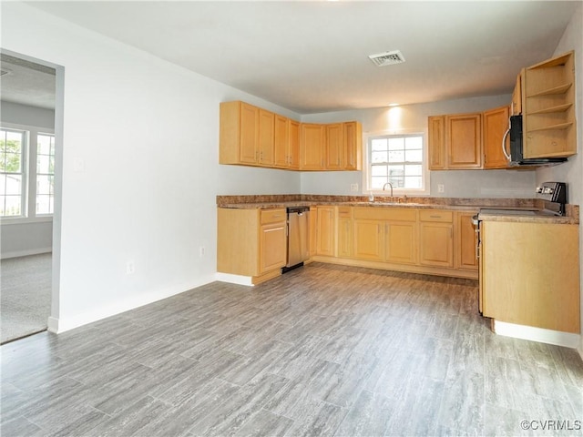 5810 Gunsight Ct, North Chesterfield, VA 23237 - kitchen featuring a sink, light wood-style floors, and plenty of natural light