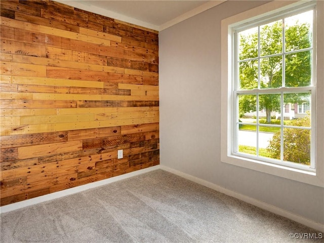 5810 Gunsight Ct, North Chesterfield, VA 23237 - carpeted spare room featuring wood walls, baseboards, and ornamental molding
