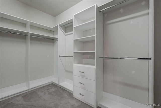 4307 Wilcot Dr, Midlothian, VA 23113 - spacious closet featuring carpet