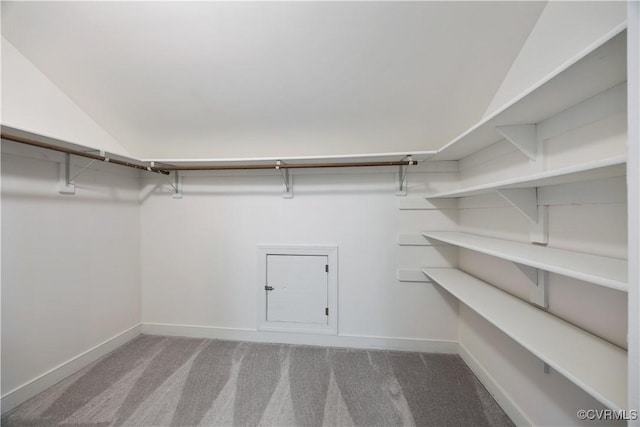 12410 Creek Mill Ct, Glen Allen, VA 23059 - walk in closet with carpet floors