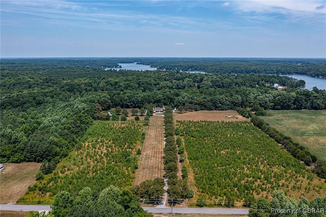 1083 Ottoman Ferry Rd, Mollusk, VA 22503 - drone / aerial view of a heavily wooded area and a nearby body of water