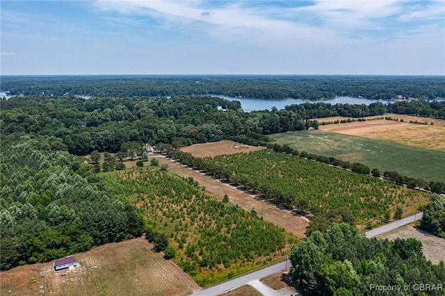 1083 Ottoman Ferry Rd, Mollusk, VA 22503 - aerial view of a large body of water and a heavily wooded area