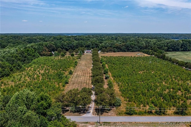1083 Ottoman Ferry Rd, Mollusk, VA 22503 - drone / aerial view of a forest