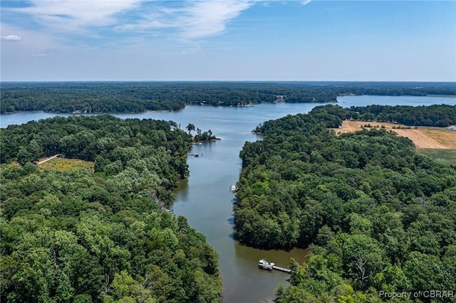 1083 Ottoman Ferry Rd, Mollusk, VA 22503 - aerial view of a large body of water and a forest