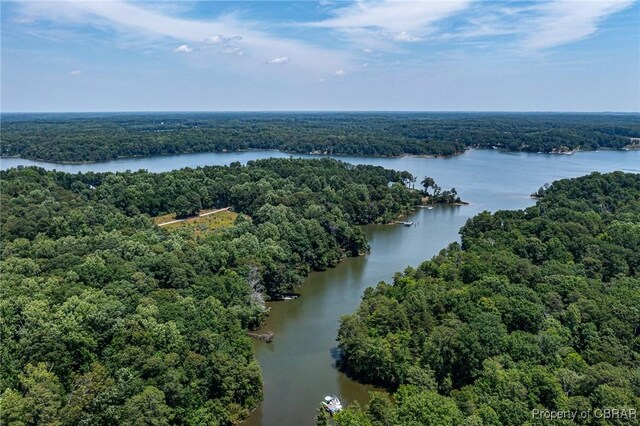 1083 Ottoman Ferry Rd, Mollusk, VA 22503 - aerial view of a heavily wooded area and a large body of water
