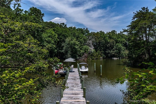 1083 Ottoman Ferry Rd, Mollusk, VA 22503 - dock area featuring a view of trees and a water view