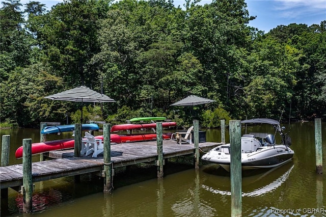1083 Ottoman Ferry Rd, Mollusk, VA 22503 - dock featuring a water view