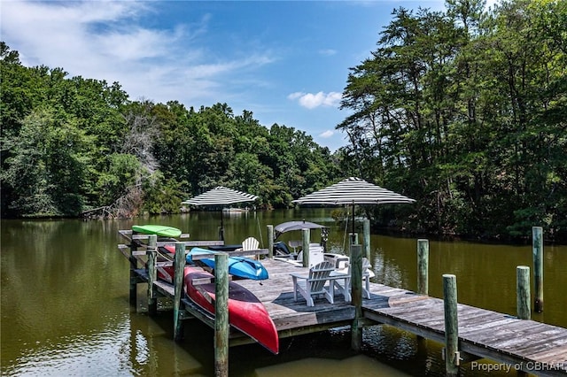 1083 Ottoman Ferry Rd, Mollusk, VA 22503 - dock area featuring a water view and a forest view