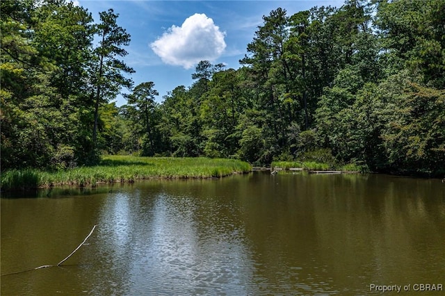 1083 Ottoman Ferry Rd, Mollusk, VA 22503 - water view featuring a forest