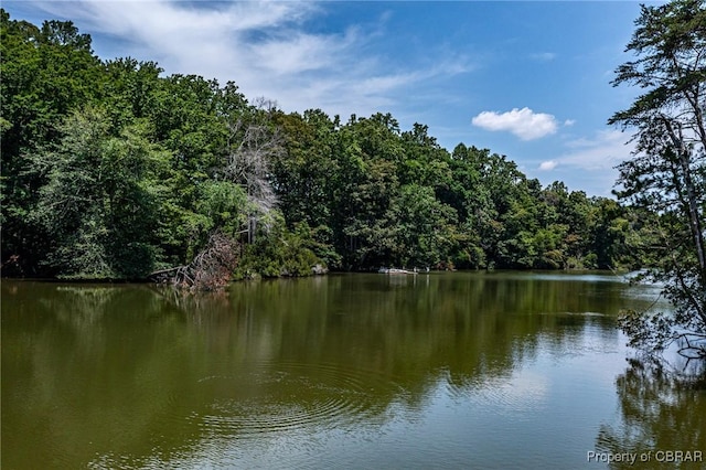 1083 Ottoman Ferry Rd, Mollusk, VA 22503 - water view with a heavily wooded area