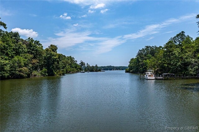 1083 Ottoman Ferry Rd, Mollusk, VA 22503 - water view with a dock and a forest