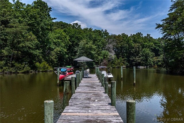 1083 Ottoman Ferry Rd, Mollusk, VA 22503 - dock with a forest view and a water view