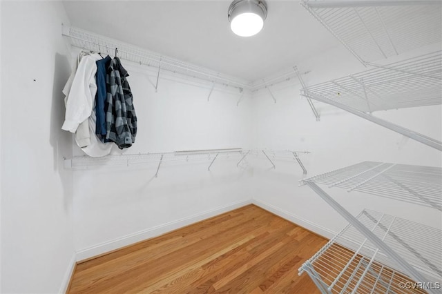 1004 Dinwiddie Ave, Henrico, VA 23229 - walk in closet with light wood-style floors
