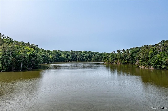 1222 Hull Harbor Rd, Heathsville, VA 22473 - water view with a forest