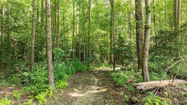 34AC Windsor Rd, Dutton, VA 23050