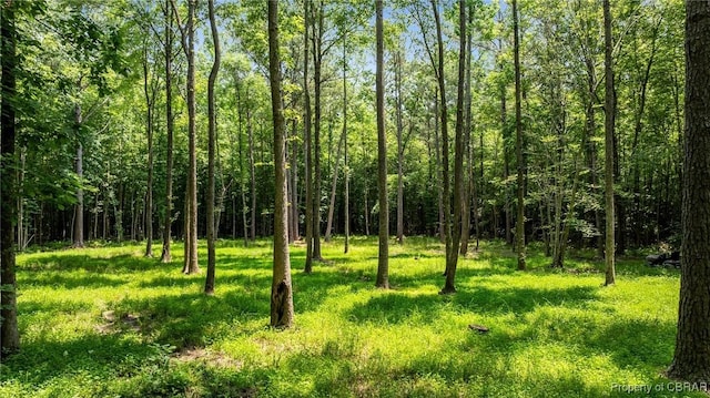 34AC Windsor Rd, Dutton, VA 23050