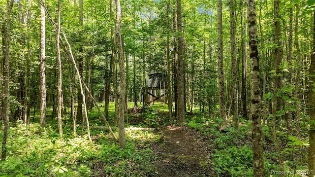34AC Windsor Rd, Dutton, VA 23050