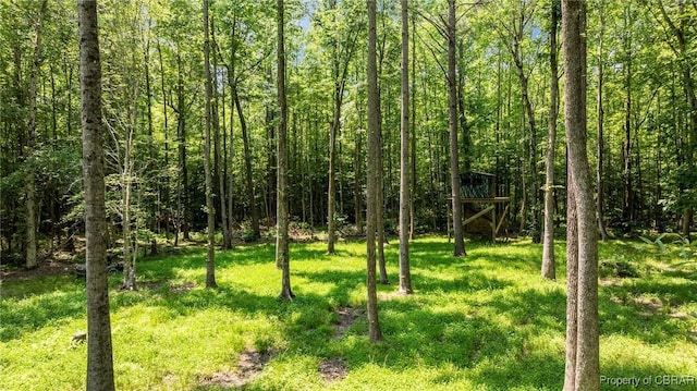 34AC Windsor Rd, Dutton, VA 23050