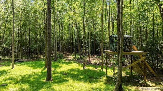 34AC Windsor Rd, Dutton, VA 23050