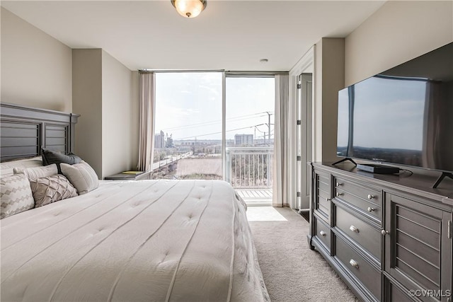301 Virginia St Unit U806, Richmond, VA 23219 - carpeted bedroom with expansive windows and access to exterior