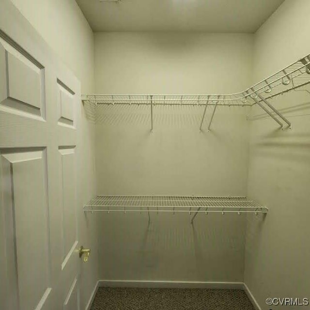 7408 First Landing Ct, Henrico, VA 23231 - walk in closet featuring carpet floors