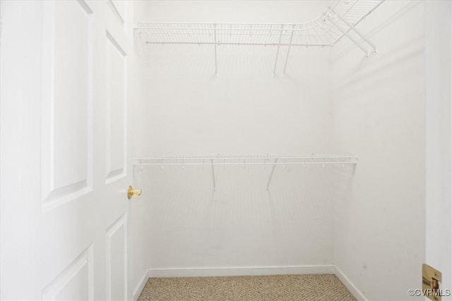 7408 First Landing Ct, Henrico, VA 23231 - photo 23