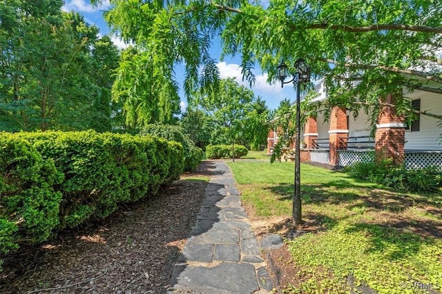 24405 N James Madison Hwy, New Canton, VA 23123 - view of grassy yard