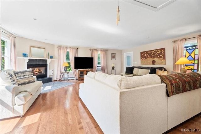 24405 N James Madison Hwy, New Canton, VA 23123 - living area featuring wood finished floors and a fireplace