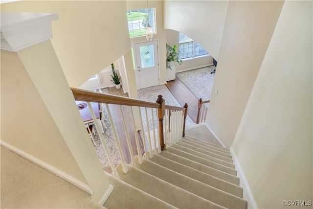 5109 W Grace Ct, Williamsburg, VA 23188 - photo 40