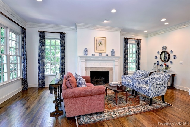 1921 Miln House Rd, Williamsburg, VA 23185 - living area with plenty of natural light, wood finished floors, ornamental molding, a premium fireplace, and recessed lighting