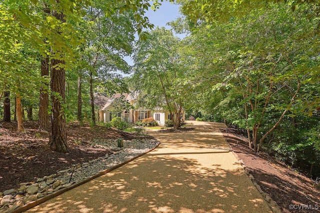 3316 Hillcrest Trl, Toano, VA 23168 - view of yard