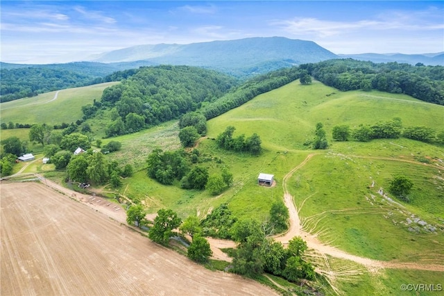504 Springbranch Rd, Lexington, VA 24450 - overview of rural landscape with a mountainous background
