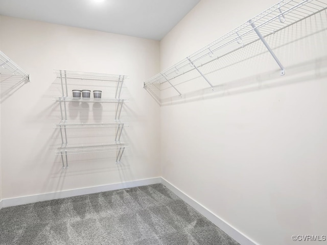 3216 Gannet Ln, Midlothian, VA 23112 - walk in closet featuring carpet flooring