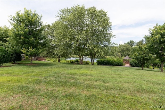 7314 Norwood Pond Pl, Chesterfield, VA 23112 - view of green lawn